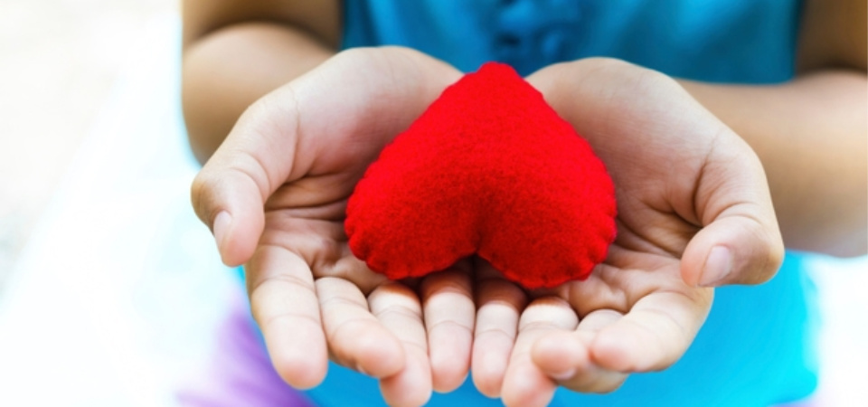 stock photo hands heart
